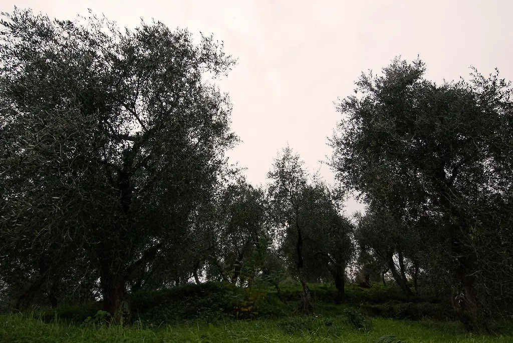 Holiday Home Porta Alla Fonte Massa e Cozzile Italy